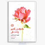 کتاب به مجنون گفتم زنده بمان،شهیدحمید باکری - تصویر 2